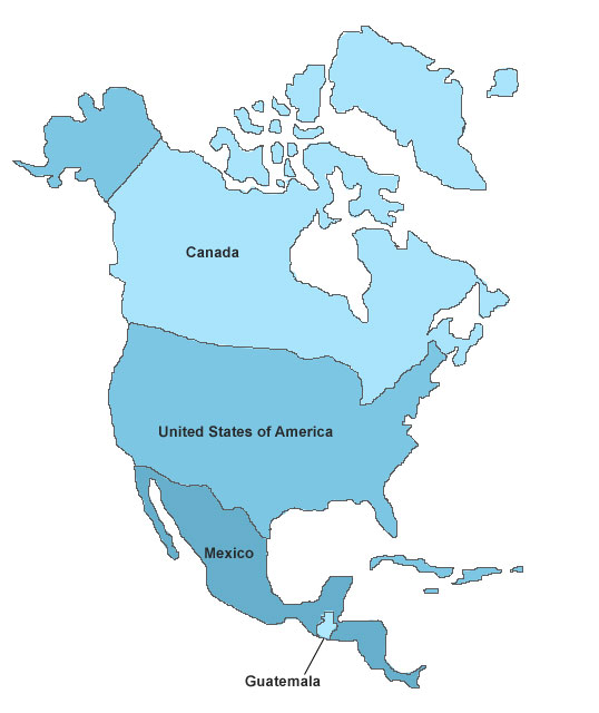 North America, Design Presentation