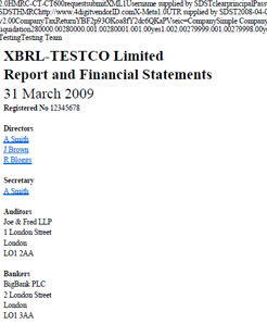 PDF to XBRL Conversion