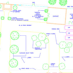 Site Plans